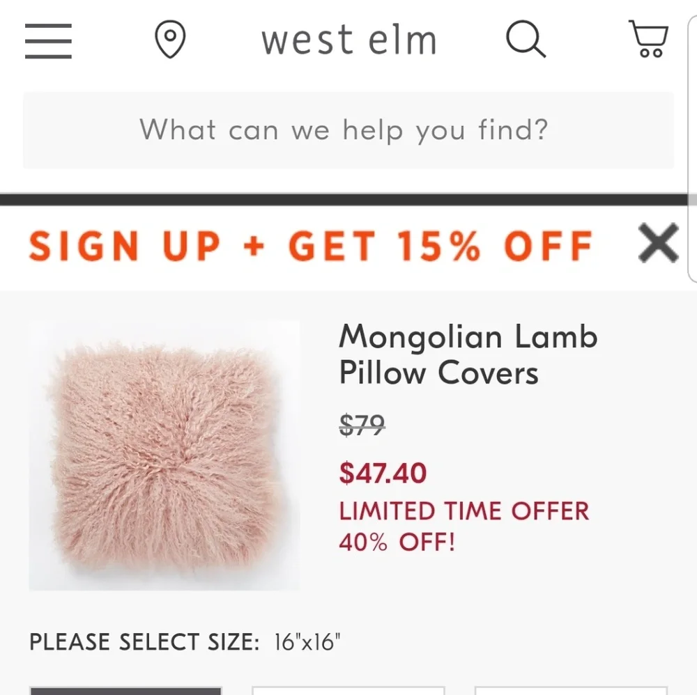 West Elm Mongolian Lamb pillows - 16
